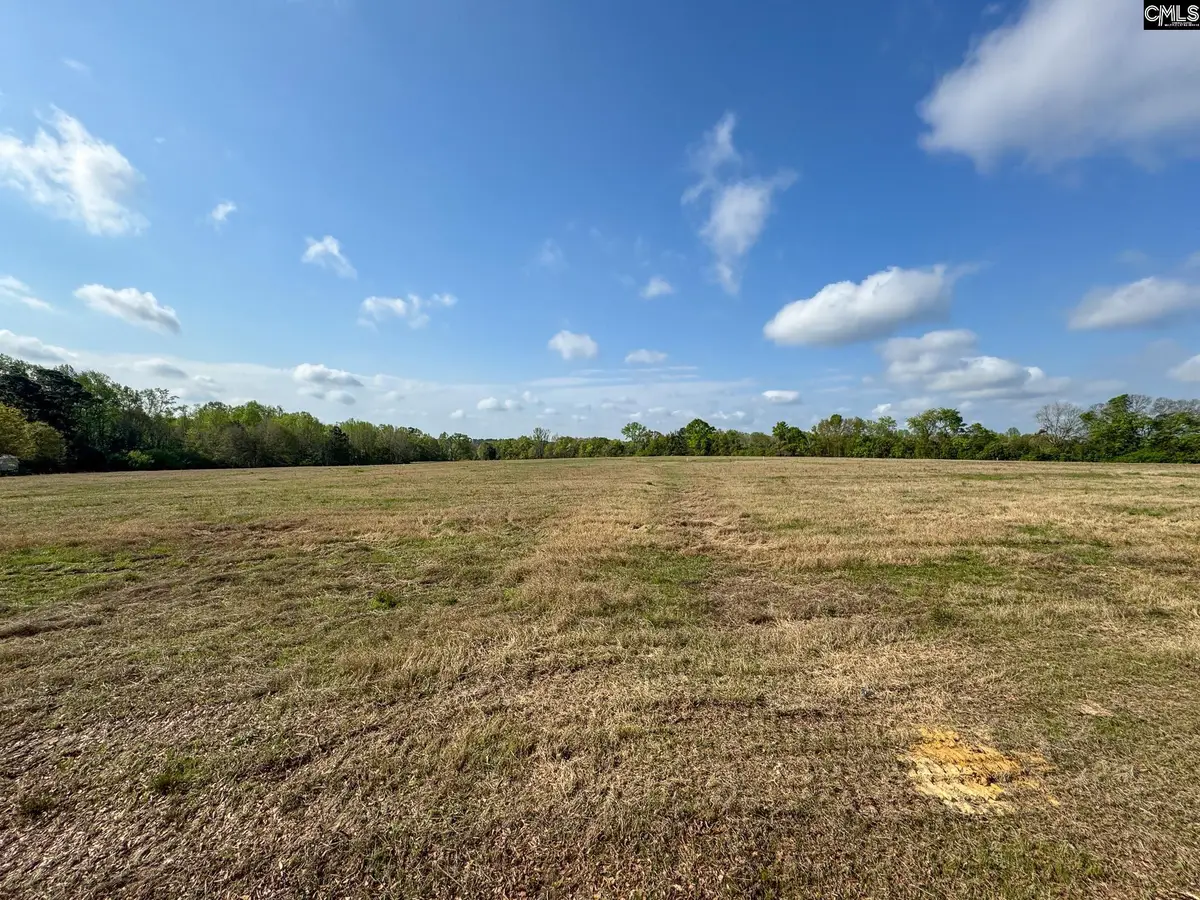 0 Shealy Road #Lot 2, Batesburg, SC 29006 - #1