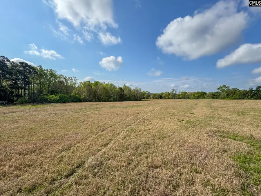 0 Shealy Road #Lot 4, Batesburg, SC 29006 - #2
