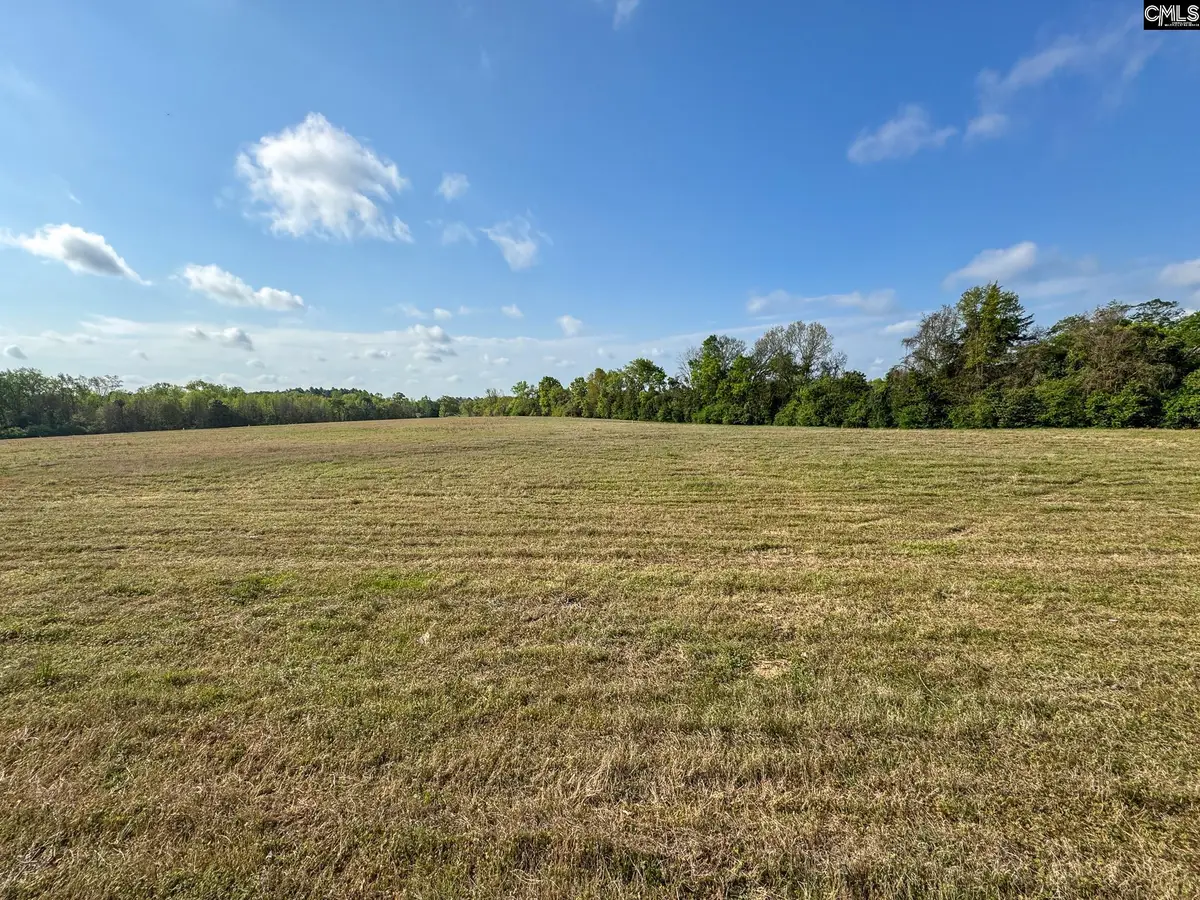 0 Shealy Road #Lot 6, Batesburg, SC 29006 - #1