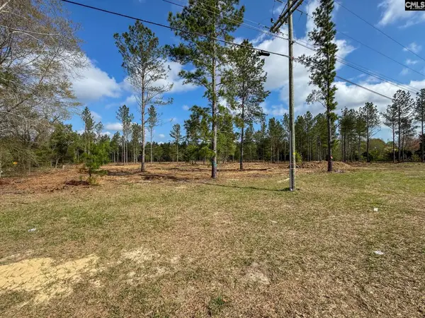 0 Perry Taylor Road #3.96 AC, Leesville, SC 29070