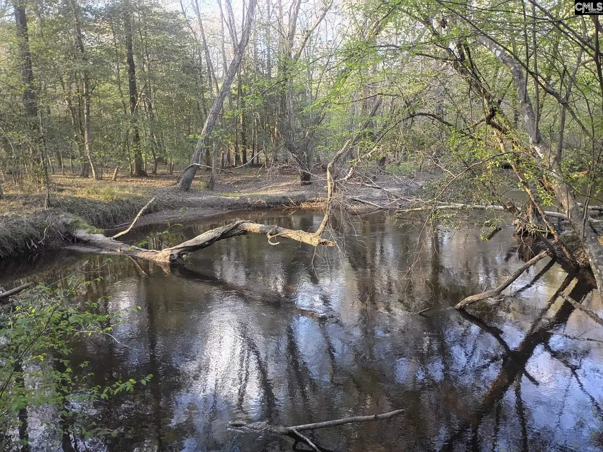 3244 Highway 1, Cassatt, SC 29032 - #1