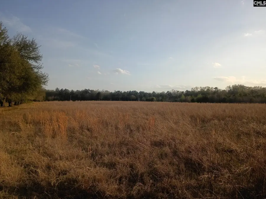 3244 Highway 1, Cassatt, SC 29032 - #3