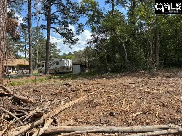 2450 Alpine Road, Columbia, SC 29223 - #3