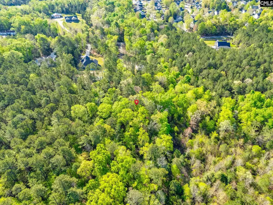 1103 Hopewell Church Road, Irmo, SC 29063 - #3