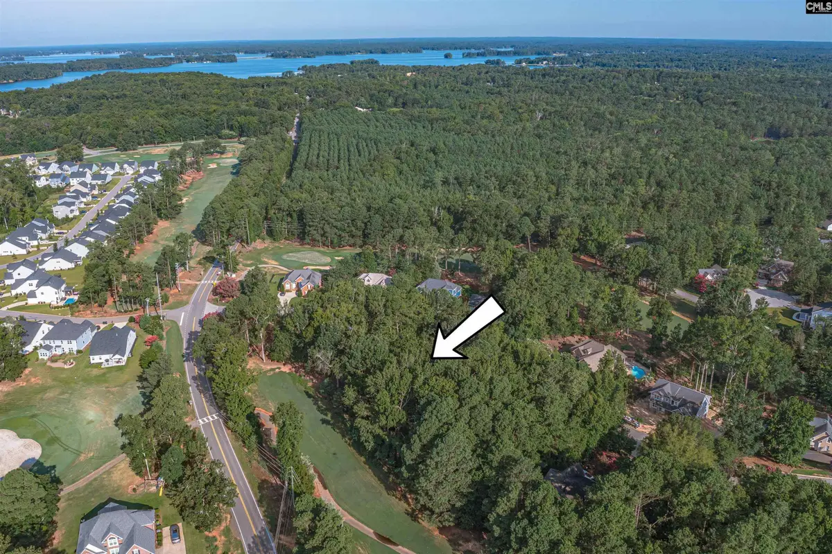 118 Lake Summit Drive, Chapin, SC 29036 - #1