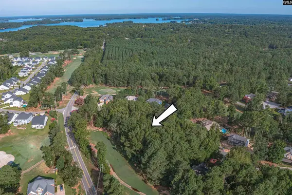 118 Lake Summit Drive, Chapin, SC 29036