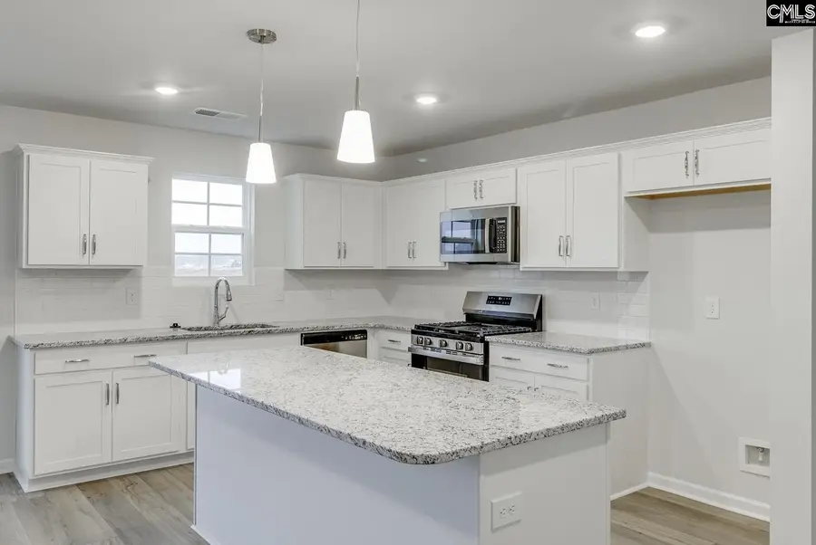 665 Clementine Run, Gilbert, SC 29054 - #2