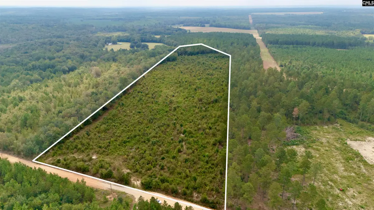 Poinsettia Road, Wagener, SC 29164 - #1