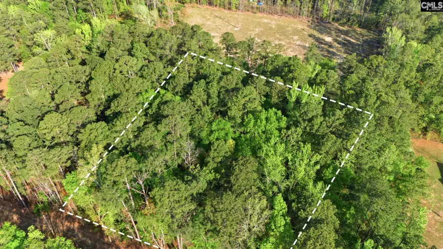 Buck Drive, Hopkins, SC 29061 - #3