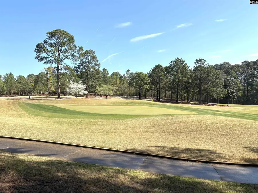 255 E Columbia Club Drive, Blythewood, SC 29016 - #3