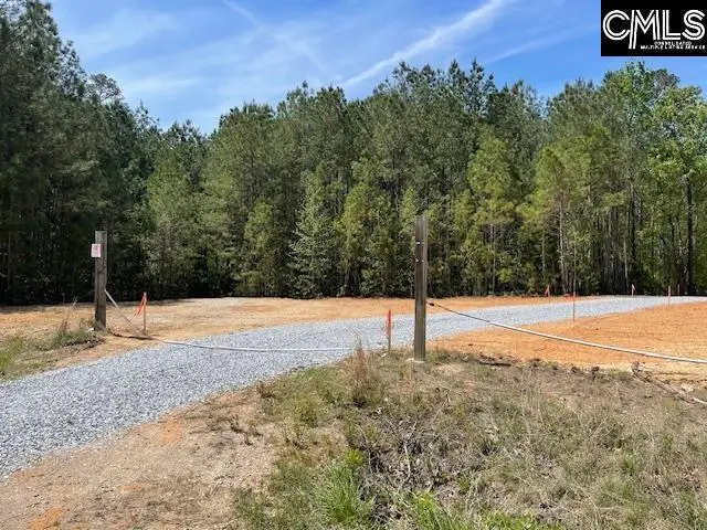 Lot 1 Highway 121, Silverstreet, SC 29145 - #3