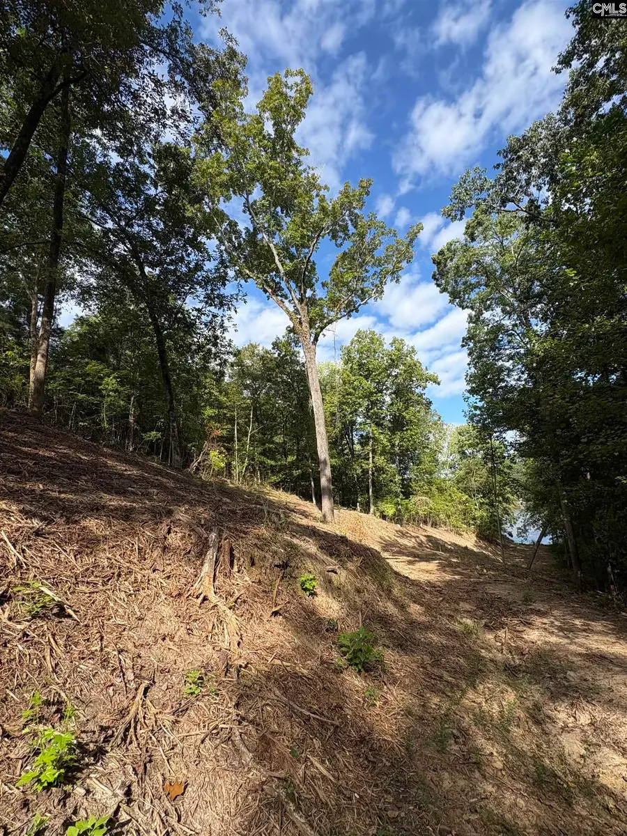 80 Valley 1 Drive, Winnsboro, SC 29180 - #2