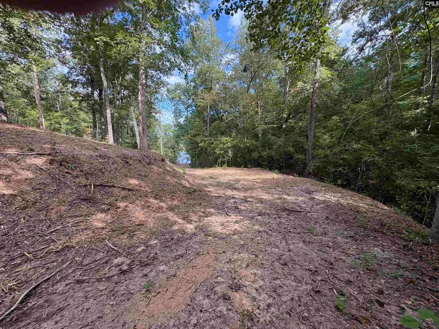 80 Valley 1 Drive, Winnsboro, SC 29180 - #3