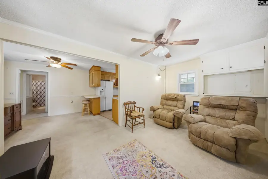 13139 Charleston Augusta Road, Denmark, SC 29042 - #3