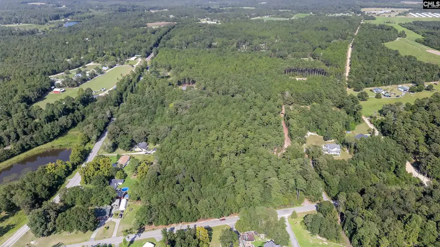 0 Juniper Springs Road #PARCEL A, Gilbert, SC 29054 - #2