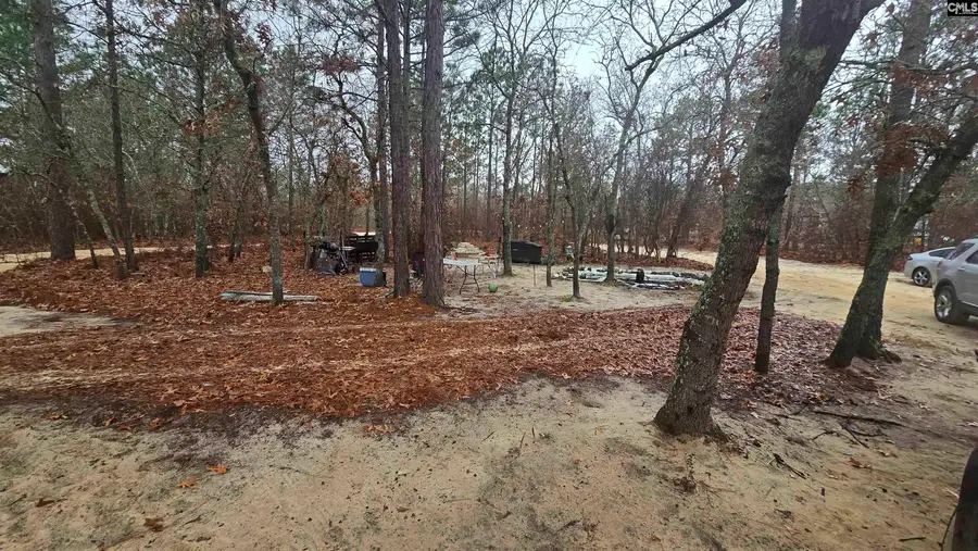 165 Landfill Lane, Lexington, SC 29073 - #2