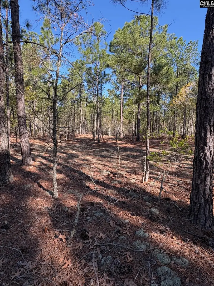 0 0 East Old Camden Hwy, Darlington, SC 29550 - #2