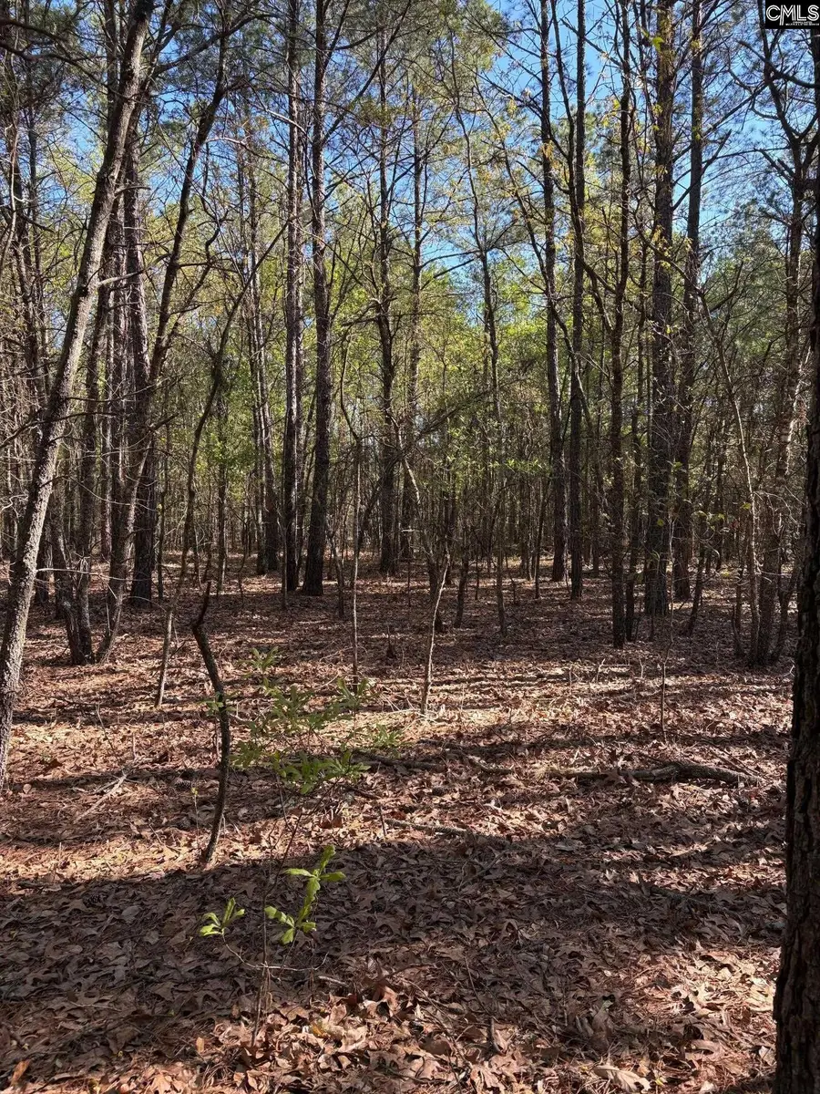 0 0 East Old Camden Hwy, Darlington, SC 29550 - #3