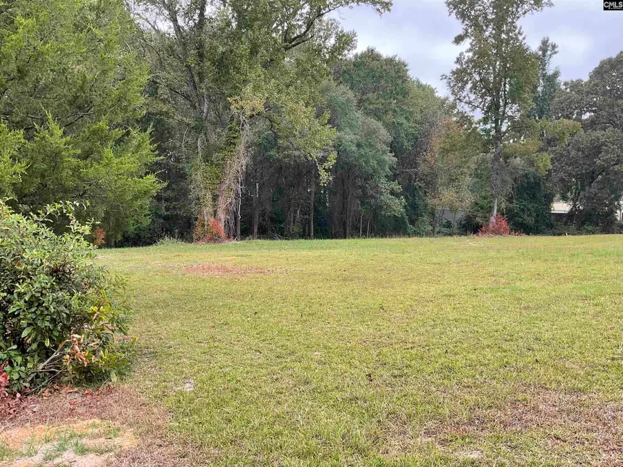 1015 B Elgin Estates Drive, Elgin, SC 29045 - #2