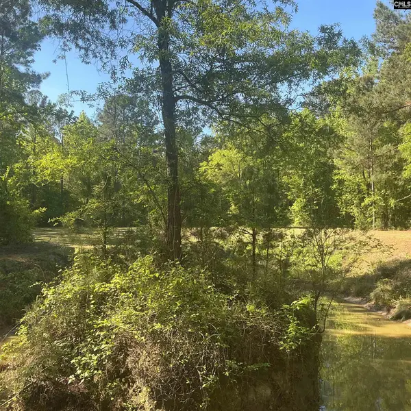 1197 Morello Road, Manning, SC 29102