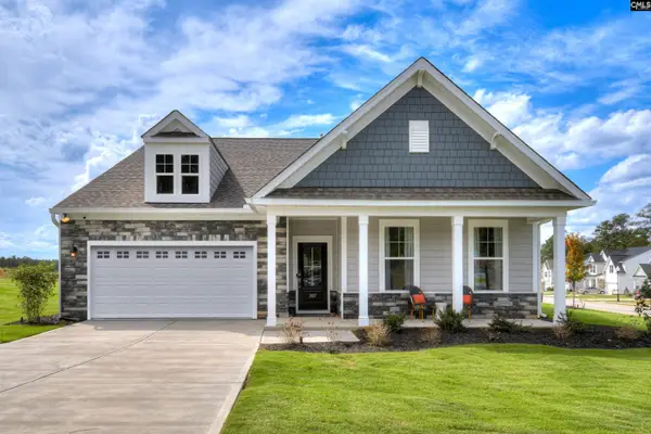 617 Basalt Court, Chapin, SC 29036