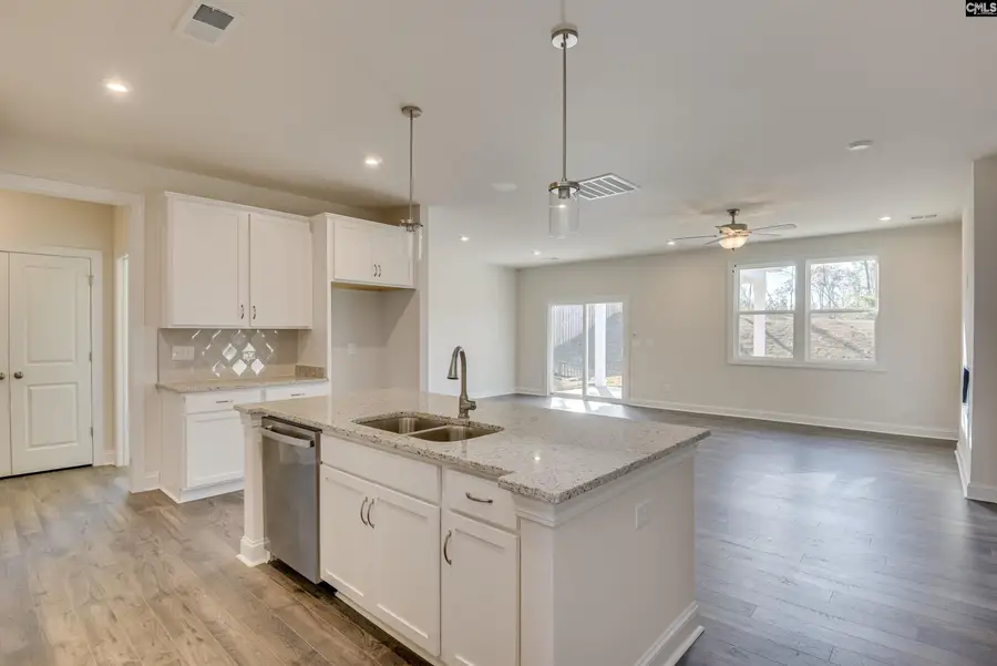 617 Basalt Court, Chapin, SC 29036 - #2
