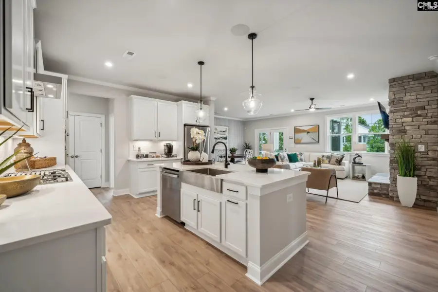 712 Feldspar Court, Chapin, SC 29036 - #2