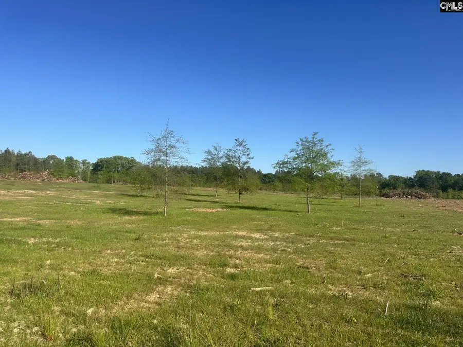 0 Livingston Road, Pomaria, SC 29126 - #2