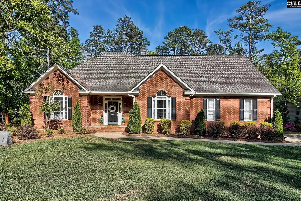 1207 Silver Point Road, Chapin, SC 29036 - #1