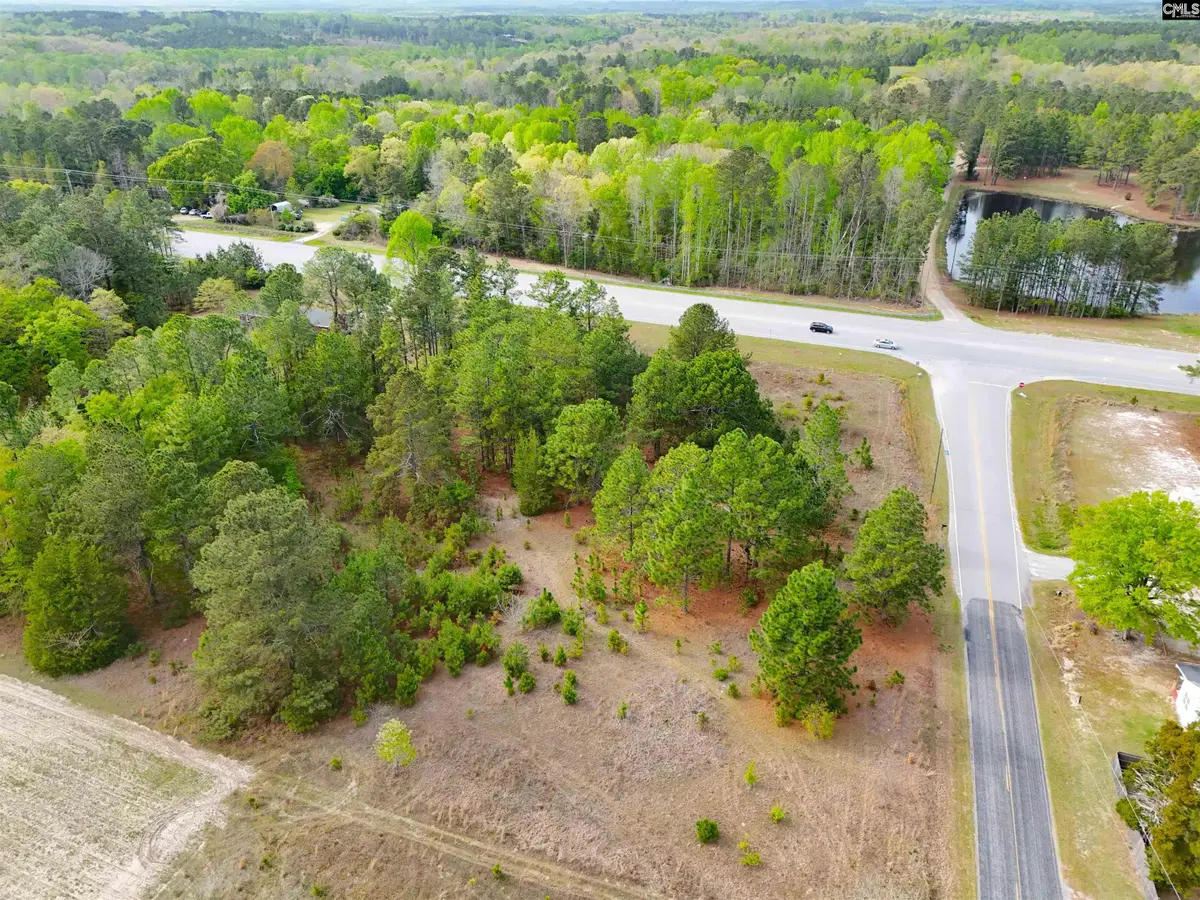 0 Hallman Wagon Road, Leesville, SC 29070 - #1