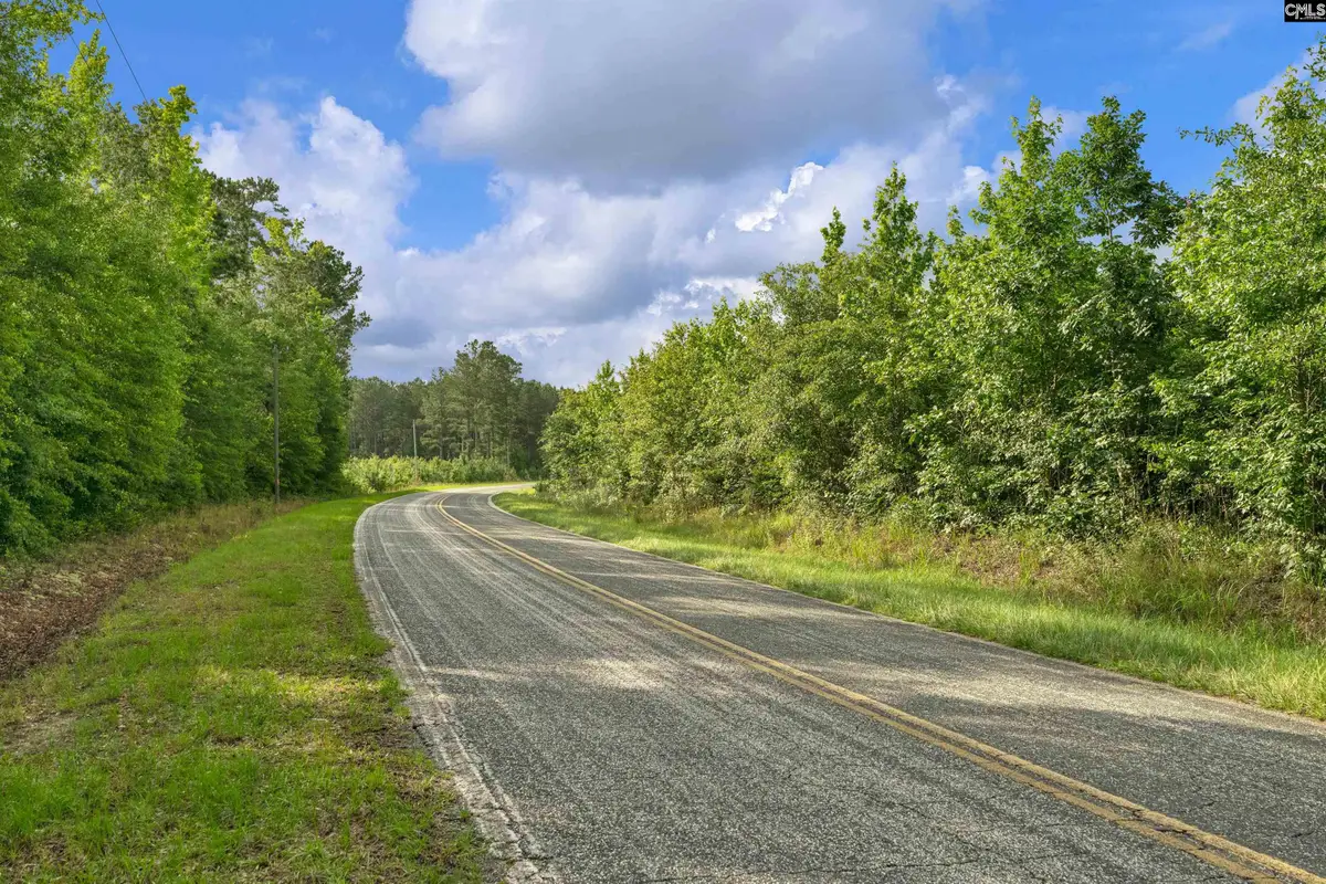 0000 N Brewington Road #10, Manning, SC 29102 - #1