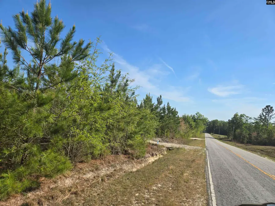 952 Mt Zion Road, Camden, SC 29020 - #3