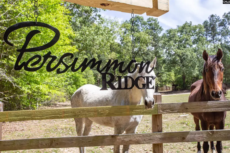 146 Williams Road, Camden, SC 29020 - #2