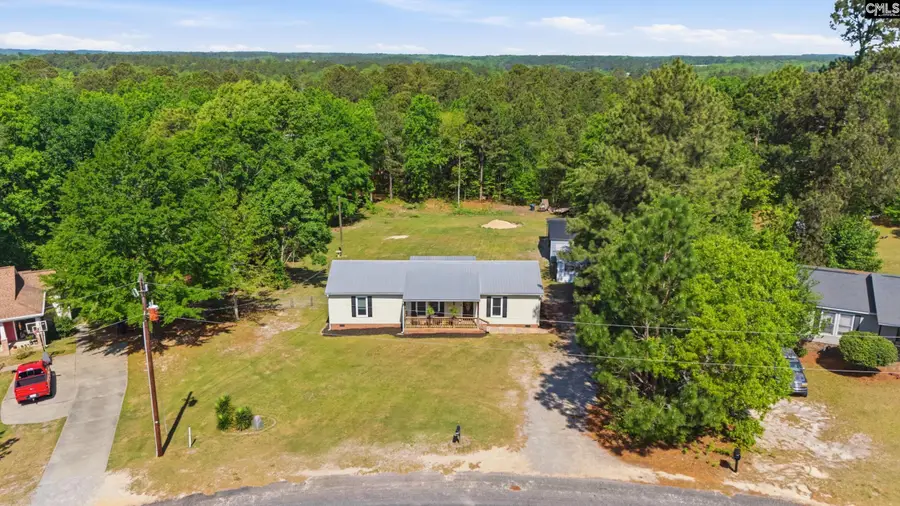 236 Drawdebil Court, Gilbert, SC 29054 - #3