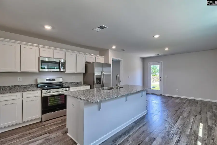 185 Calm Citadel Drive, Pelion, SC 29123 - #2