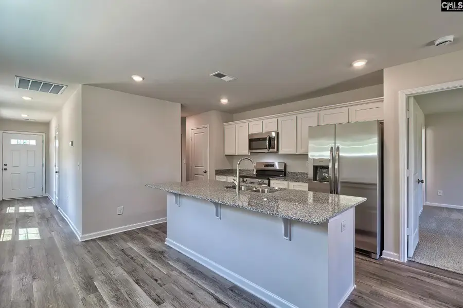 185 Calm Citadel Drive, Pelion, SC 29123 - #3