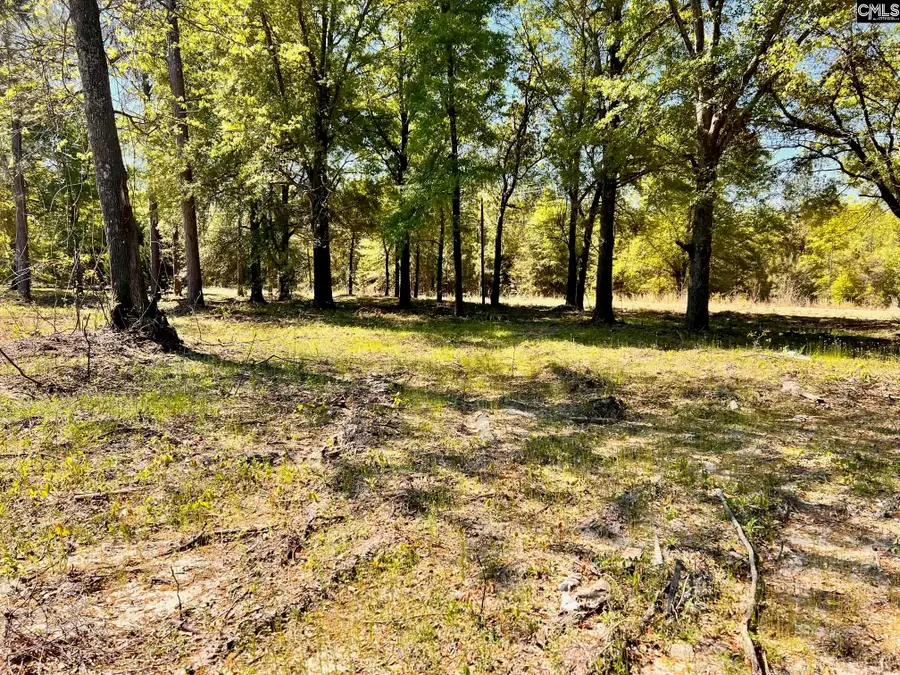 0 Shadow Lane, Wagener, SC 29164 - #2