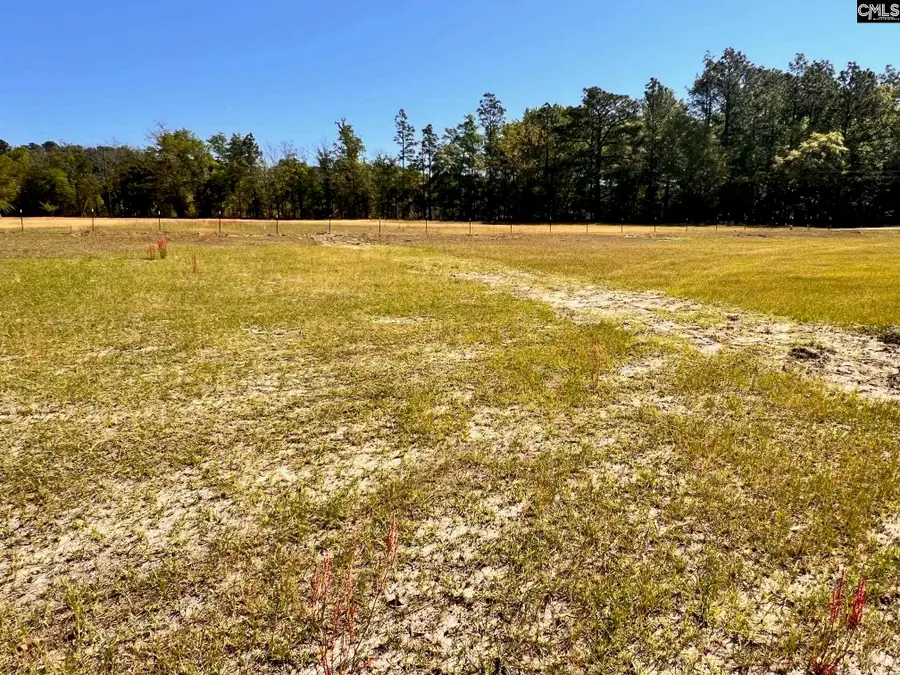 0 Shadow Lane, Wagener, SC 29164 - #3