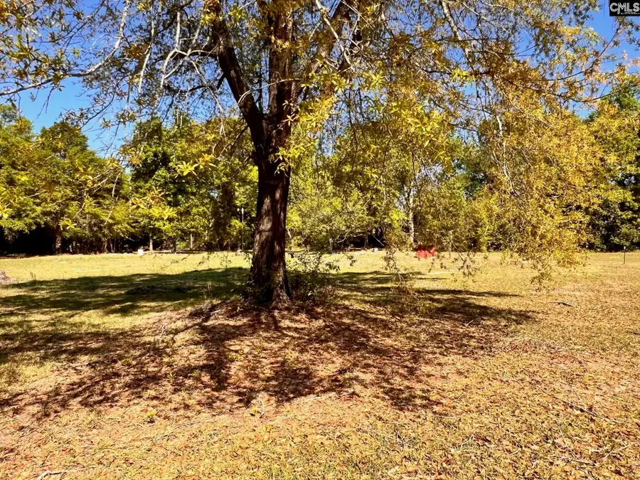 0 Shadow Lane, Wagener, SC 29164 - #2