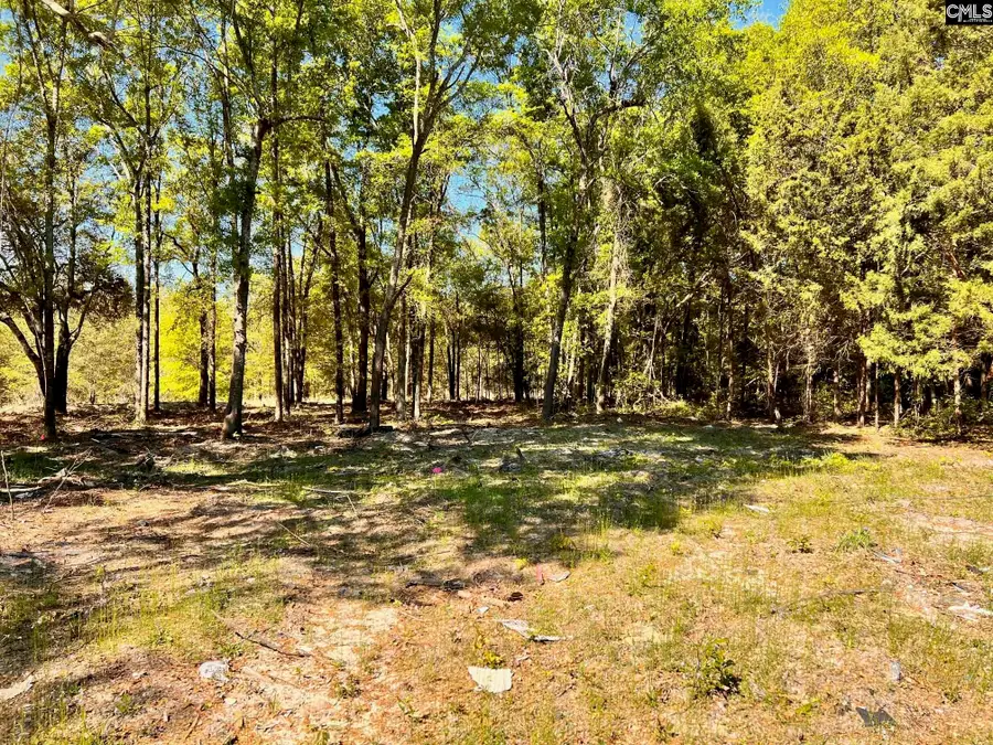 0 Shadow Lane, Wagener, SC 29164 - #3