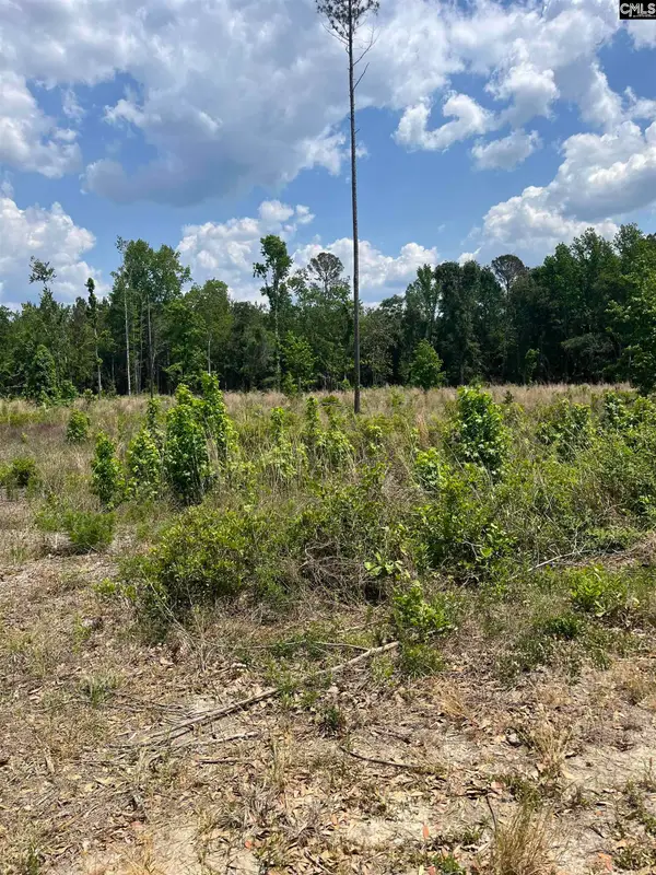 446 Marsh Road, Other, SC 29929