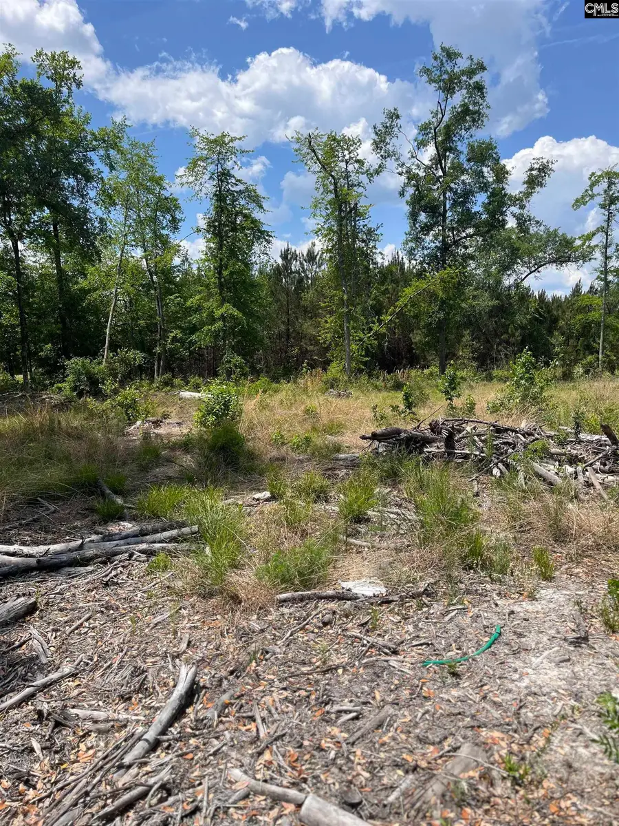 446 Marsh Road, Islandton, SC 29929 - #2