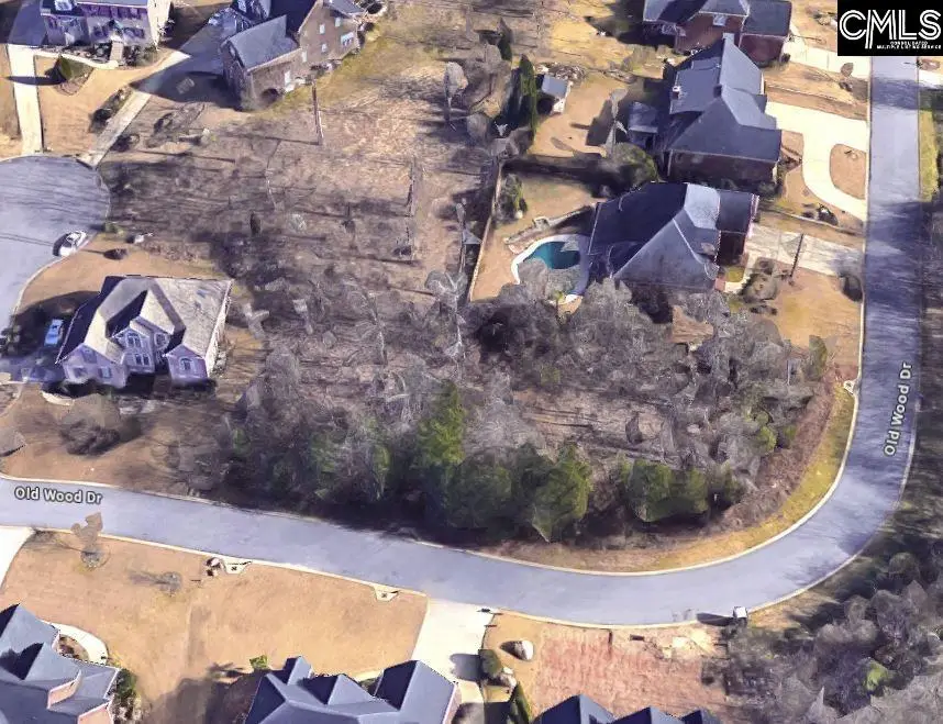338 Old Wood Drive, Columbia, SC 29212 - #1