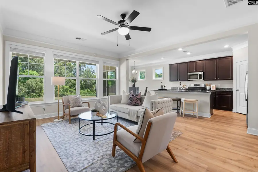 713 Chatham Court, Chapin, SC 29036 - #3