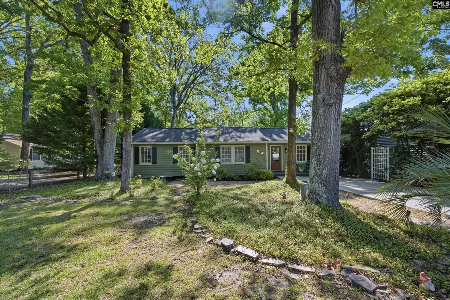 1047 Hilton Point Road, Chapin, SC 29036 - #2