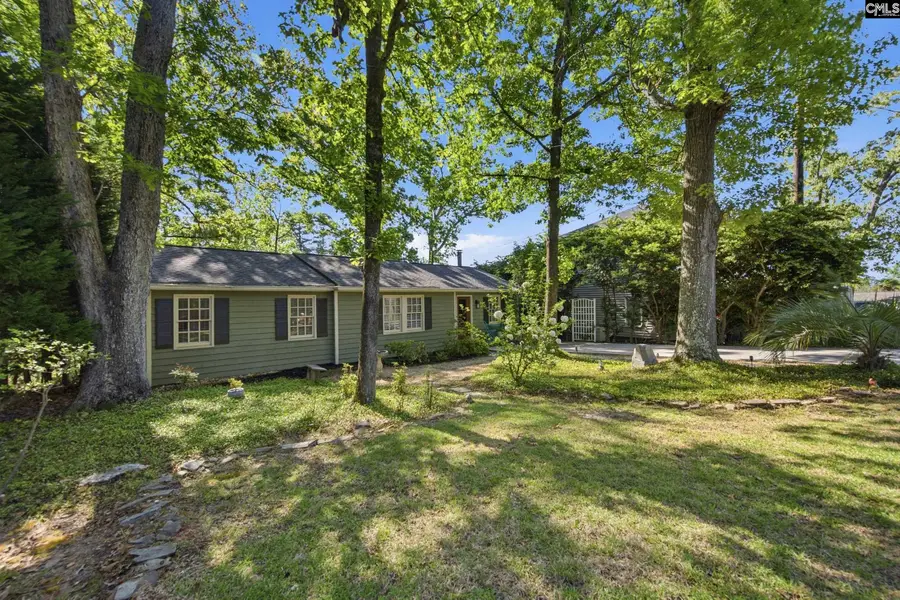 1047 Hilton Point Road, Chapin, SC 29036 - #3