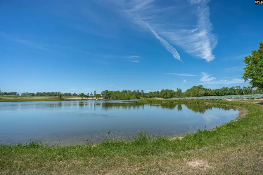225 Burma Road, Lexington, SC 29072 - #2