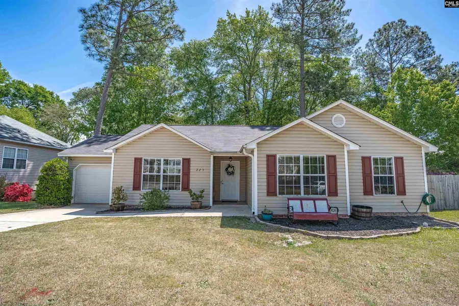 225 Burma Road, Lexington, SC 29072 - #3