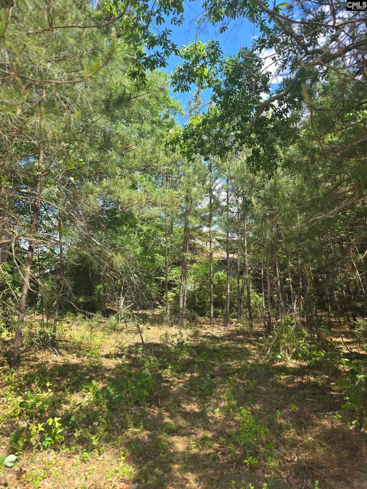 13824 Newberry Road, Blair, SC 29015 - #1
