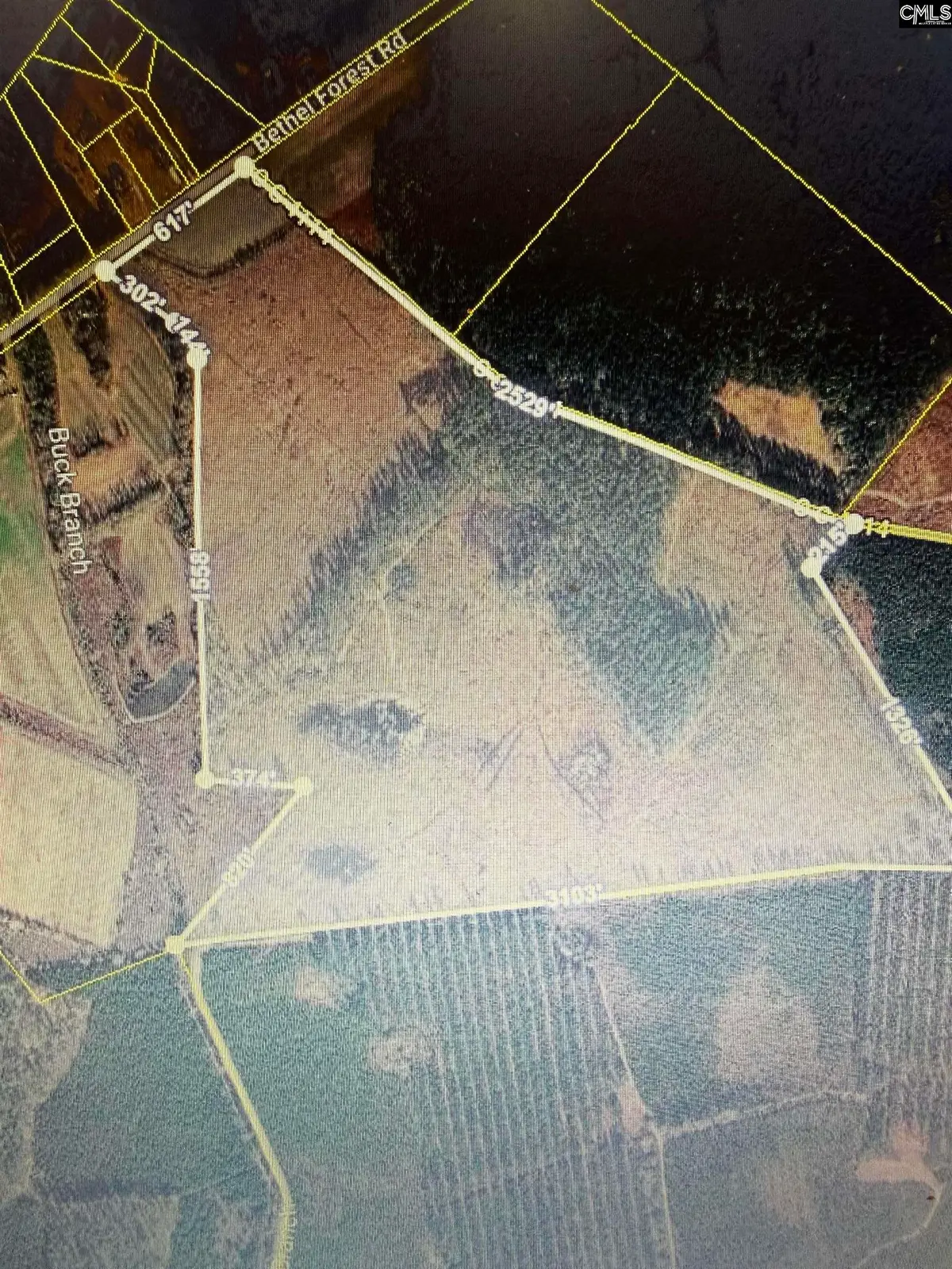 1725 Bethel Forest Road, Rowesville, SC 29133 - #1